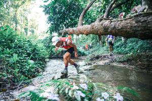 BIB: 
                            <button type="button" onclick="openModal(25432801)" class="btn btn-primary btn-sm float-right btn-popup" data-toggle="modal" data-target=".modal-high-quality">
                        <i class="fas fa-shopping-cart"></i> Add to Cart
                    </button>
                                            <button type="button" onclick="isThisMe(25432801, true)" class="btn btn-success btn-sm float-right btn-popup btn-isme hidden" data-toggle="tooltip" data-placement="bottom" title="นี่คือรูปของคุณใช่ไหม คลิกที่นี่เพื่อเอาเข้าอัลบั้ม">
                        <i class="fas fa-plus"></i> Add to album
                    </button>
                    <button type="button" onclick="isThisMe(25432801, false)" class="btn btn-warning btn-sm float-right btn-popup btn-isnotme hidden">
                        <i class="fas fa-ban"></i> Remove from album
                    </button>